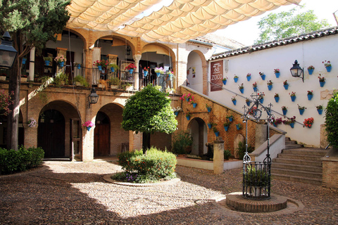 Visite guidée de Cordoue : mosquée, quartier juif et AlcazarVisite de Courdoue en espagnol