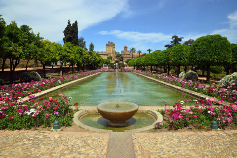 Córdoba Rondleiding door de moskee, de Joodse wijk en AlcazarCórdoba Tour in het Spaans