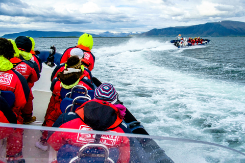 Reykjavik: Tournée d'observation des macareux