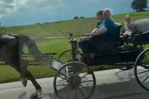 New York – Discover Philadelphia and the Amish Community on a One-Day Tour