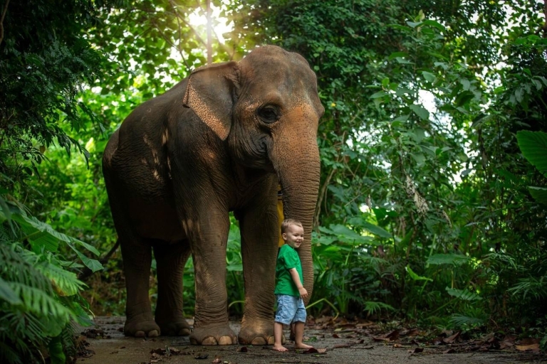 Plage privée avec baignade et soins aux éléphants