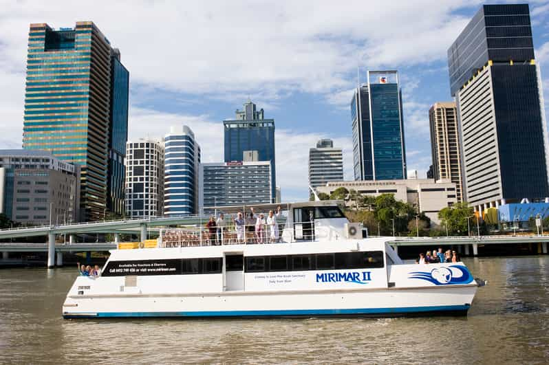 Cruzeiro Fluvial em Brisbane e Visita ao Santuário de Coalas