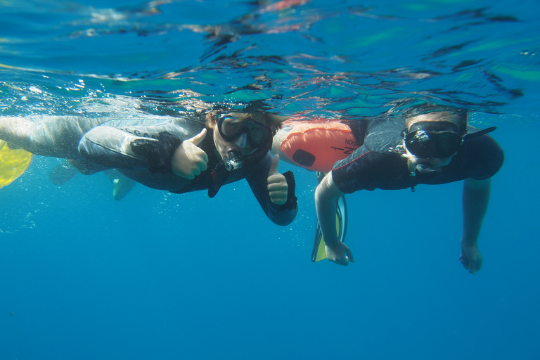 Chania: Boat Trip with Guided Snorkeling & Stand-Up Paddling