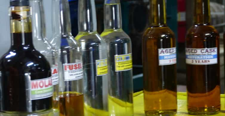 St. Lucia Rum Tasting and Distillery Half-Day Tour | GetYourGuide