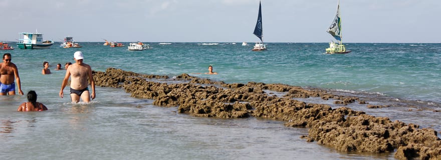 Visite d'une jounée à Porto Galinhas