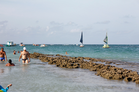 Porto Galinhas Full Day Tour Group Tour in Portuguese