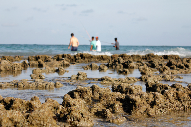 Porto Galinhas GanztagestourGruppentour auf Spanisch