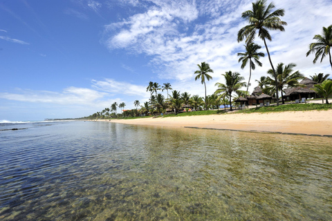 Porto Galinhas Full Day Tour Group Tour in Portuguese