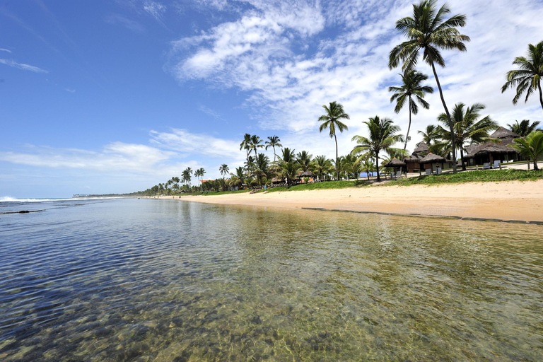 Porto Galinhas Full Day TourGroup Tour in Portuguese