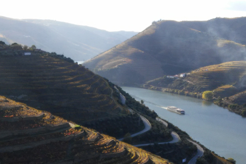 Från Porto: Privat tur i Dourodalen med kryssning och vin