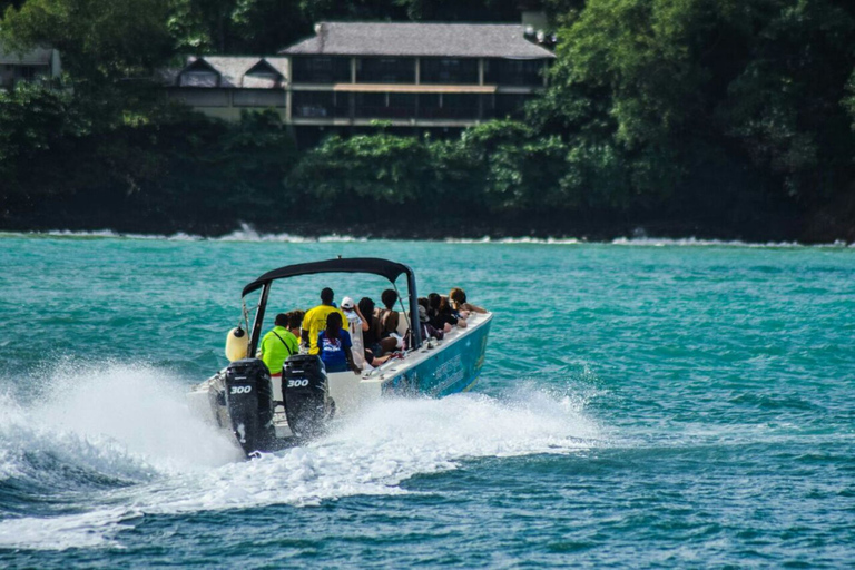 St Lucia: Private Speed Boat Tour from Castries