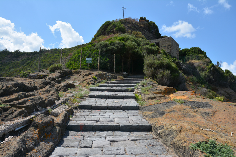 Procida Island Day Trip with Lunch