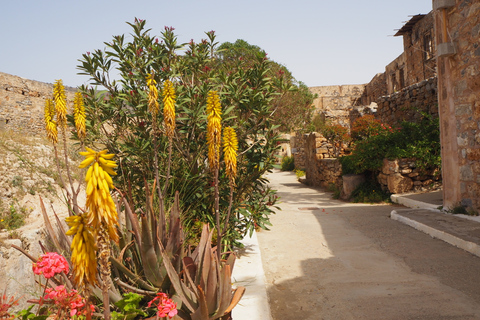 Excursion en bateau à Spinalonga depuis le port d'EloundaDu port d'Elounda : excursion en bateau à Spinalonga