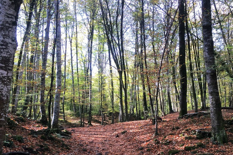 Depuis Barcelone : Villages médiévaux et randonnée volcaniqueParc national de la Glarrotxa et visite de Besalú
