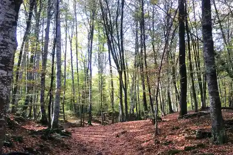 From Barcelona: Medieval Villages and Volcanic Hiking Tour