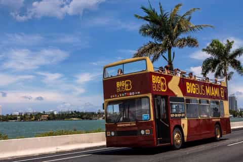 Miami: sightseeingtour in Big Bus met open dak
