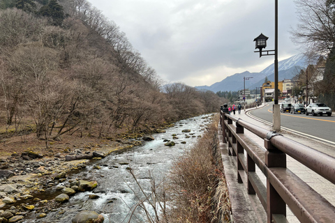 Tokio naar Nikko werelderfgoed dagtour met Engelse gids