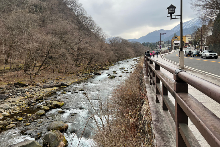 Excursão de um dia de Tóquio a Nikko, Patrimônio Mundial, com guia em inglês