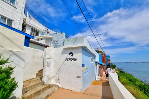 Busan : pour les passagers de croisière, visite en voiture privéeBusan : Visite en voiture privée pour les passagers de croisière