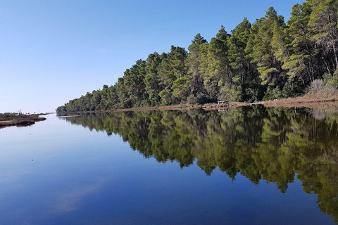 Golem/Durrës: Karavasta Lagoon Tour