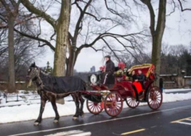 New York City: Central Park Horse Carriage 45-min Ride