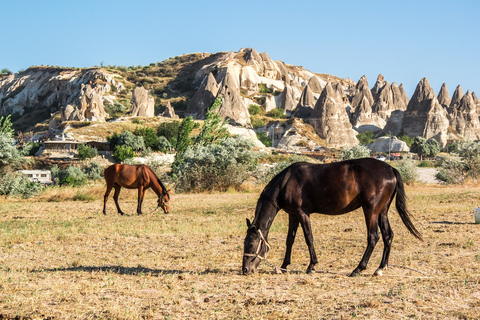 Capadocia: Paseo en globo aerostático al amanecer y excursión de un día