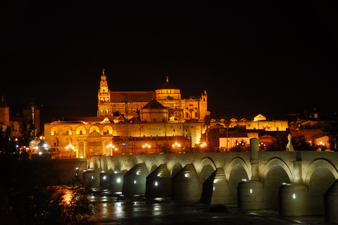 Cordoba at Night by Bike, Electric Bike Cordoba at Night by Bike