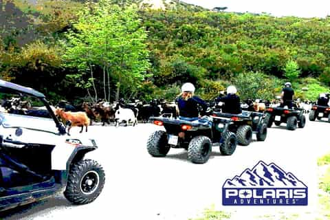 Desde Rétino: safari en quad de medio día