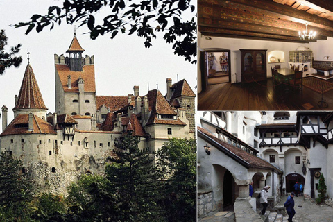 From Brașov: Bran Castle, Bear Sanctuary, & Poiana Brașov