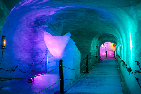 from Geneva: Chamonix Mont-Blanc Private Guided Tour Cable Car