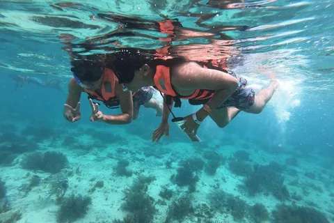 Cancún: Crucero en catamarán por Isla Mujeres con snorkel y comida