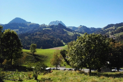 Gruyères, Cheese and Chocolate: Private Guided Tour Tour with Train Ride