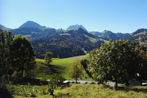 Gruyères, Fromage et Chocolat: Visite Guidée PrivéeTour avec train