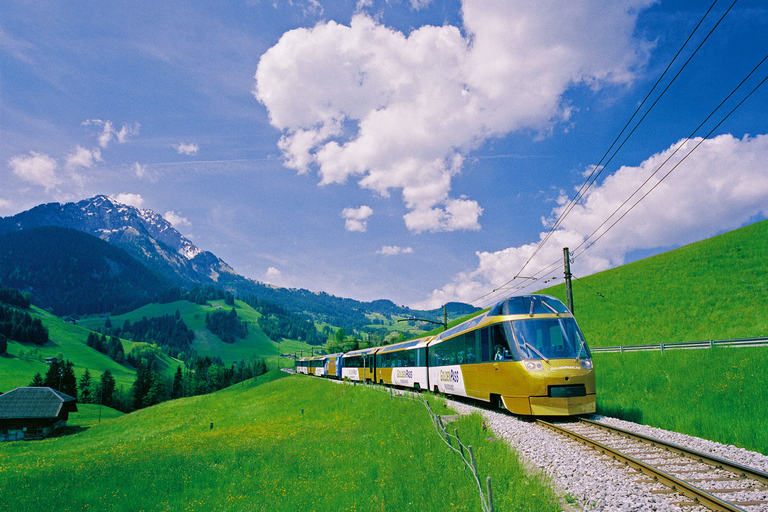 Gruyères, queijo e chocolate: Visita guiada particularPasseio com passeio de trem