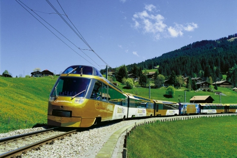 Gruyères, Cheese and Chocolate: Private Guided Tour Tour with Train Ride