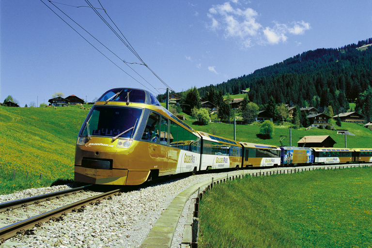 Gruyères, queso y chocolate: visita guiada privadaTour en tren