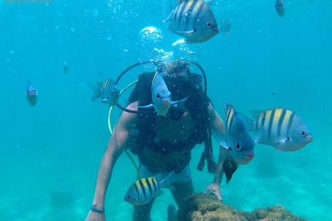 Porto Galinhas GanztagestourGruppentour auf Spanisch