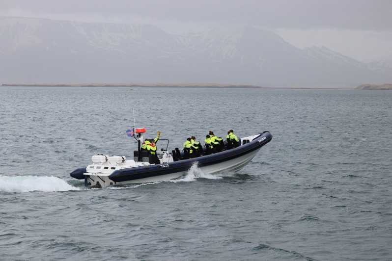 rib boat tours reykjavik