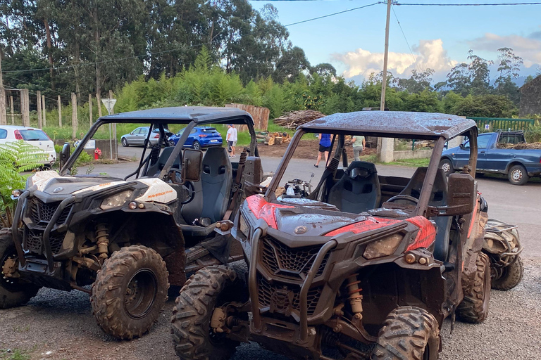 Madeira: Private Off-Road Buggy Driving Experience