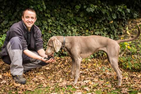 Prague Truffle Hunting Tour with Luxury Lunch