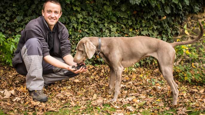 prague truffle hunting tour with luxury lunch