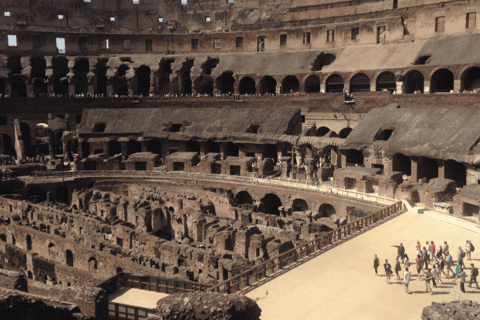 Colosseum: Gladiator Arena Guided Tour