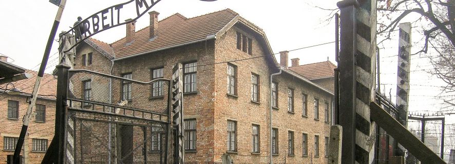 From Krakow: Ticket to Auschwitz-Birkenau with Transfer - Non-Refundable