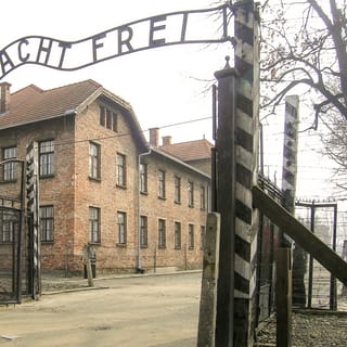 From Krakow: Ticket to Auschwitz-Birkenau with Transfer - Non-Refundable