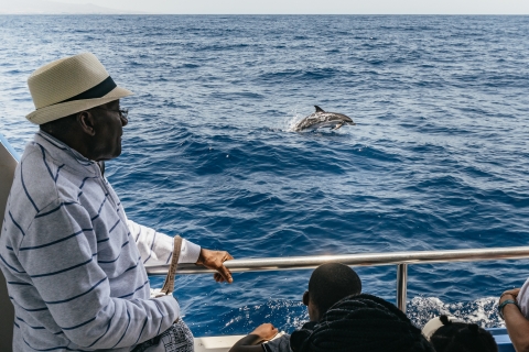 Gran Canaria: Bootsfahrt mit Delfin-Beobachtung3-stündige Delfin-Beobachtungs-Bootsfahrt ohne Transfer