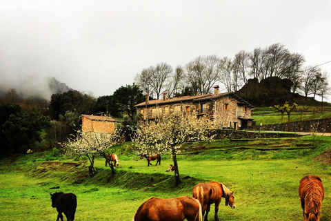 Depuis Barcelone : Villages médiévaux et randonnée volcaniqueParc national de la Glarrotxa et visite de Besalú