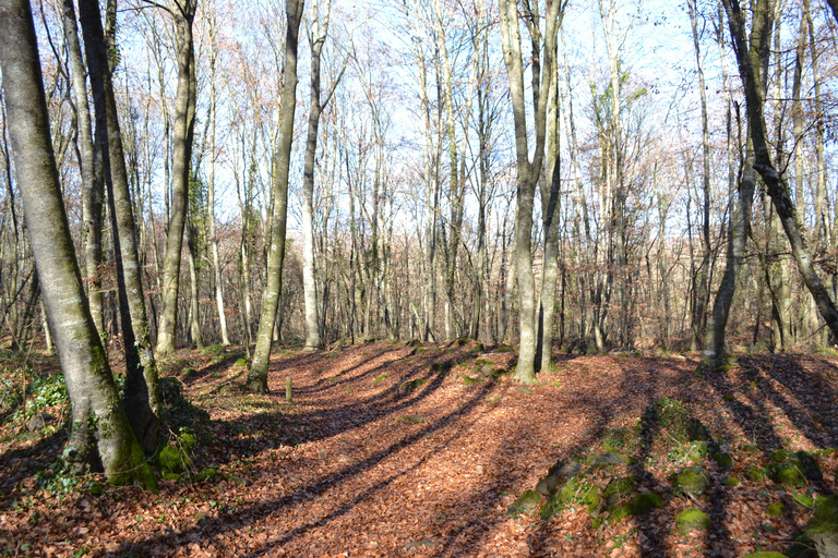 Depuis Barcelone : Villages médiévaux et randonnée volcaniqueParc national de la Glarrotxa et visite de Besalú