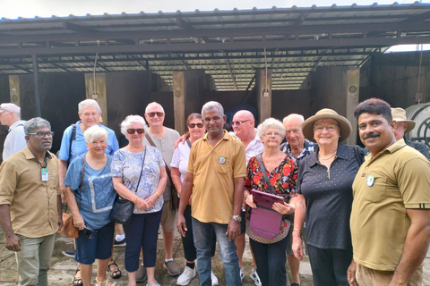 Fort Kochi Local Sightseeing Tuk-Tuk Tour