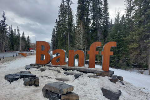 Banff: Uma excursão particular de um dia - Tour dos destaques