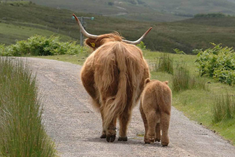 Au départ d'Edimbourg : Visite du Loch Ness et d'Inverness en espagnol